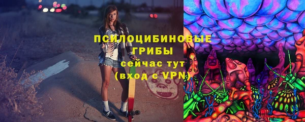 меф Няндома